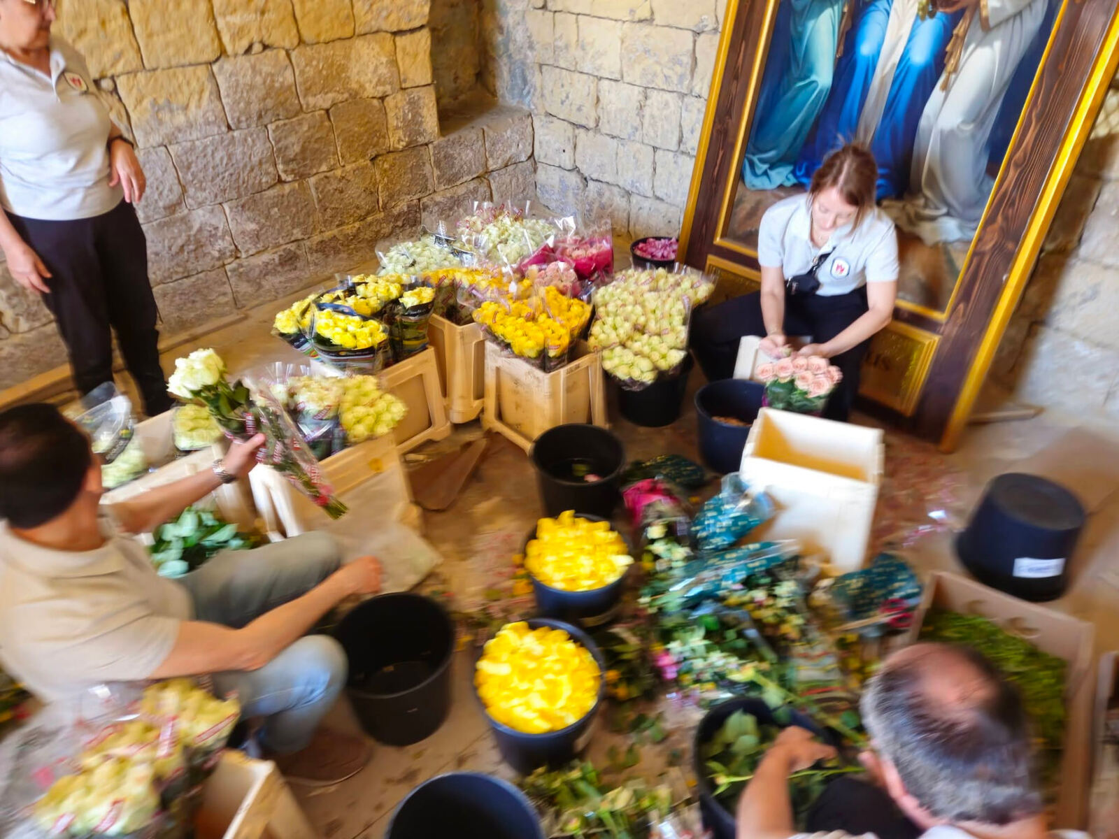 Volunteers sorting yellow and white rose petals into buckets inside a limestone room