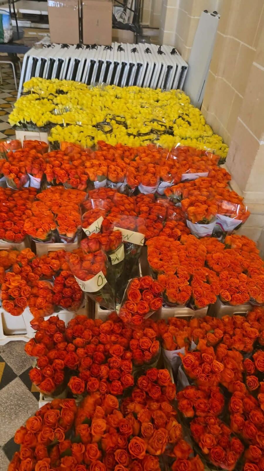 Rows of orange and yellow roses lined up on the floor of a hall, ready for use